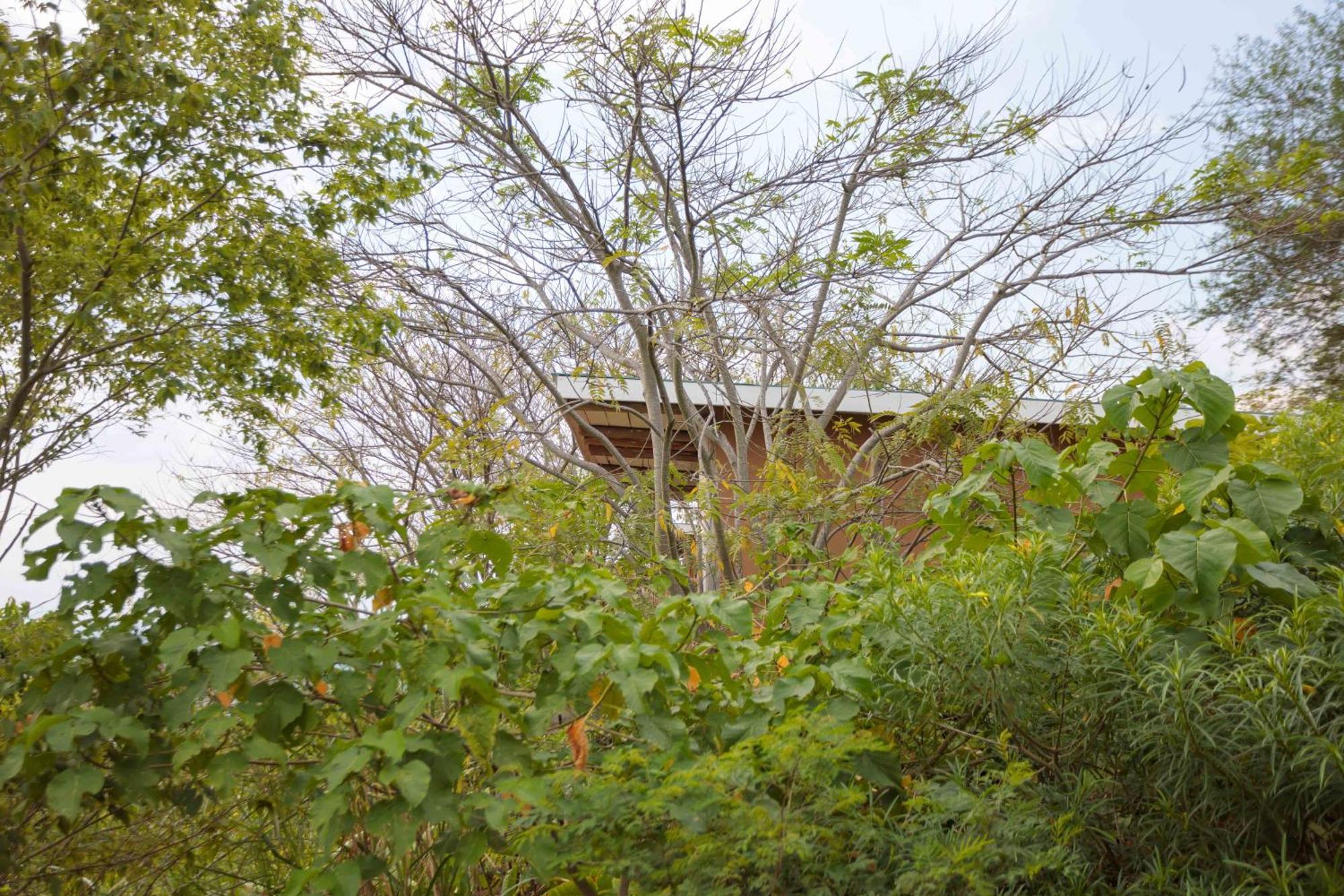 Lake Mwamba Lodge Kasenda Kültér fotó